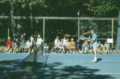 1961