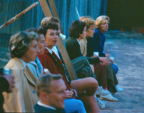 1964